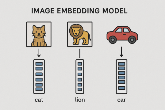 image embedding